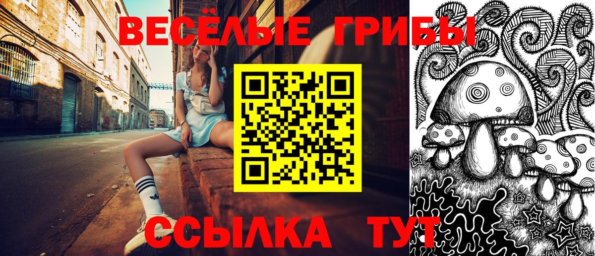 Псилоцибиновые грибы прущие грибы Конаково
