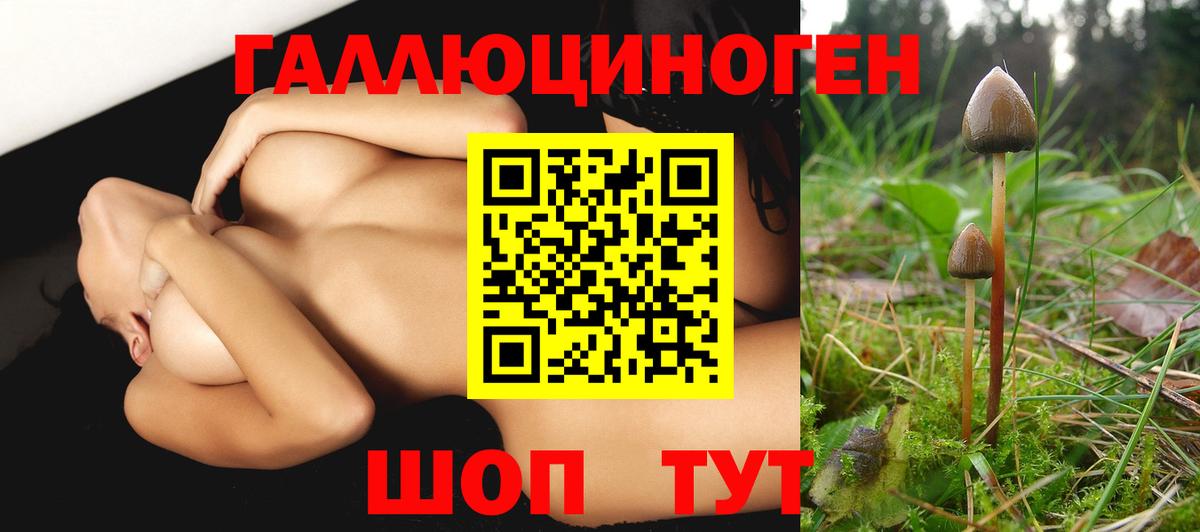 Галлюциногенные грибы ЛСД  Вход с VPN  Псилоцибиновые грибы MAGIC MUSHROOMS  Конаково 